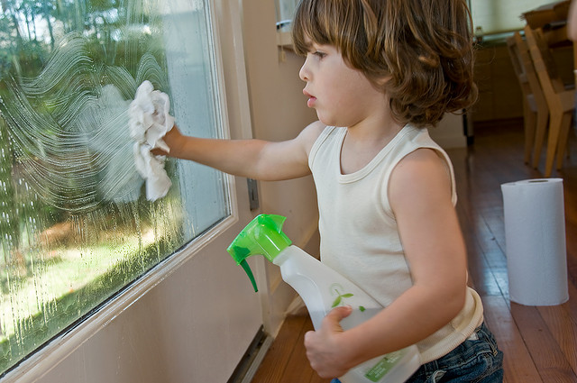 Home Window Cleaning