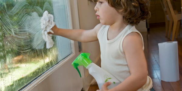 Home Window Cleaning